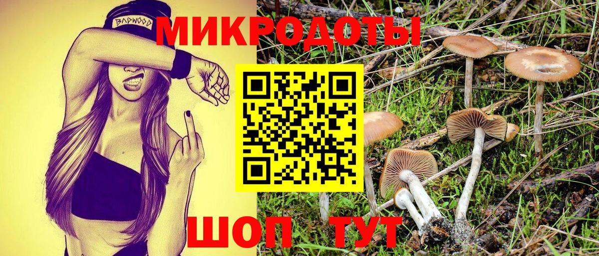Галлюциногенные грибы прущие грибы Алапаевск