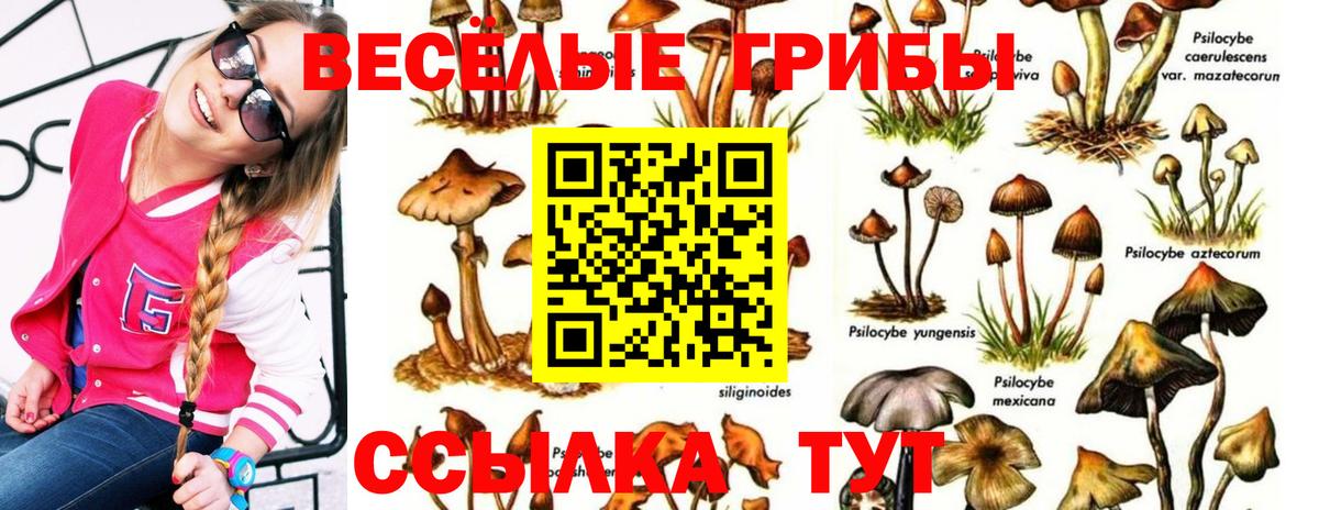 Алапаевск  Псилоцибиновые грибы ЛСД  Галлюциногенные грибы мухоморы  Вход с VPN 